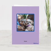 Grappige Yorkie vs. Shih Tzu kaart (Achterkant)