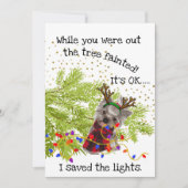 Grappige Yorkshire Terrier heeft de kerstverlichti Feestdagenkaart (Voorkant)