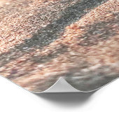 Grappige Zand Zee Schelp Snowboard Collage Poster (Hoek)
