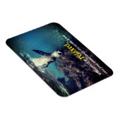 Grappige zeeen leeuw onder water magneet (Rechterzijde)