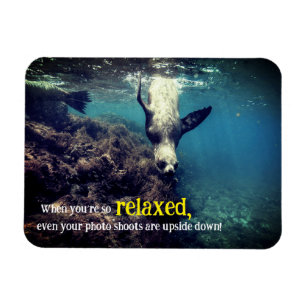 Grappige zeeen leeuw onder water magneet