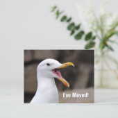 GRAPPIGE Zeemeeuw  Aankondigingskaart (Staand voorkant)
