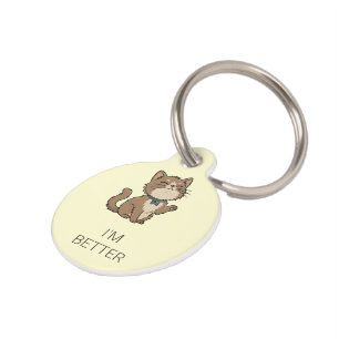 Grappige zelfvoldane kat ID hanger Huisdierpenning