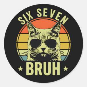 Grappige Zes Zeven Bruh Kat Retro Houding Cool Vib Ronde Sticker