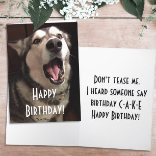 Grappige zingende Alaskan Malamute-hond fotografie Kaart