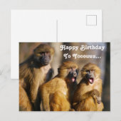 Grappige zingende apen - berberaapjes briefkaart (Voorkant / Achterkant)