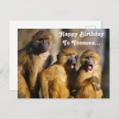 Grappige zingende apen - berberapen briefkaart (Voorkant / Achterkant)