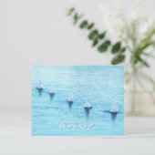 Grappige zwanen wat is er allemaal leeg gelegenhei briefkaart (Staand voorkant)