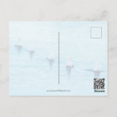 Grappige zwanen wat is er allemaal leeg gelegenhei briefkaart (Achterkant)