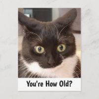 Grappige Zwart-Witte Kat Verraste Verjaardagskaart