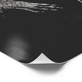 Grappige Zwart-Witte Ruimte Wasbeer UFO Perfect Poster (Hoek)