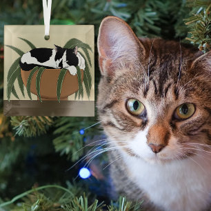 Grappige Zwart-Witte Tuxedo Kat Slapend in Huispla Glas Ornament