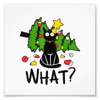Grappige Zwarte Kat Kerstboom Merry Santa Humor C Foto Afdruk