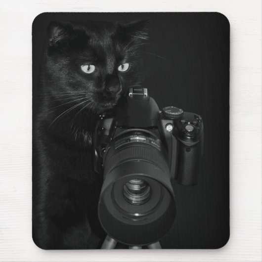 Grappige zwarte kat met de camera muismat (Voorkant)