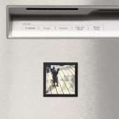 Grappige zwarte kat zwaaien de lucht buiten magneet (Insitu (Vaatwasser))