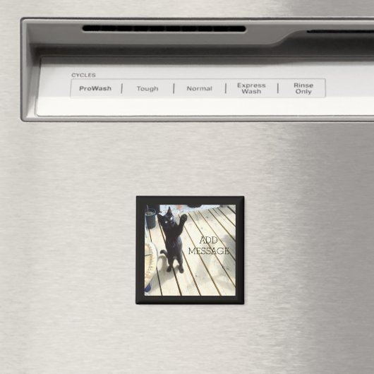 Grappige zwarte kat zwaaien de lucht buiten magneet (Insitu (Vaatwasser))