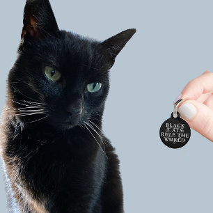 Grappige Zwarte Katten Besturen De Wereld Adres Pe Huisdierpenning