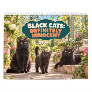 Grappige Zwarte Katten Zeker Onschuldig Kalender