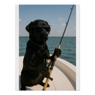 Grappige zwarte Labrador-hond vist Perfect Poster