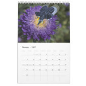 Grappigste Weird Elephant Hybrids 2025 Kalender (Feb 2027)