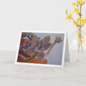 Graptopetalum Paraguayense, Succulente Geestplant Kaart (Gele Bloem)