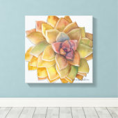 Graptopetalum Waterverf door Debra Lee Baldwin Canvas Afdruk (Insitu (Houten vloer))