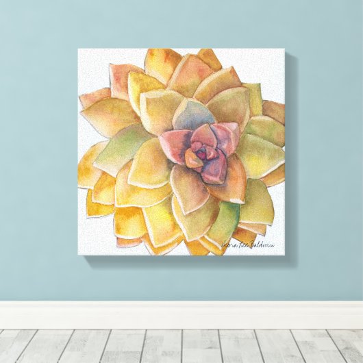 Graptopetalum Waterverf door Debra Lee Baldwin Canvas Afdruk (Insitu (Houten vloer))