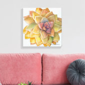 Graptopetalum Waterverf door Debra Lee Baldwin Canvas Afdruk (Insitu (Woonkamer))