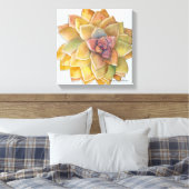 Graptopetalum Waterverf door Debra Lee Baldwin Canvas Afdruk (Insitu (Slaapkamer))