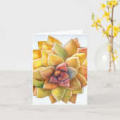 Graptopetalum waterverf kaart (Gele Bloem)