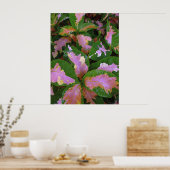 Graptophyllum Pictum Rosea Variegata Poster (Keuken)
