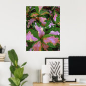 Graptophyllum Pictum Rosea Variegata Poster (Thuiskantoor)