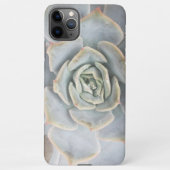 Graptoveria Huths Pink Electronics Bag iPhone Hoesje (Achterkant)