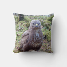 Grapvogel met een houding Boze vogel portret