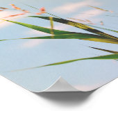 Gras Blauw Lucht Veld Weide Natuur Poster (Hoek)