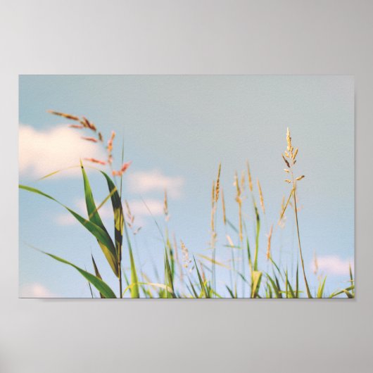 Gras Blauw Lucht Veld Weide Natuur Poster (Voorkant)
