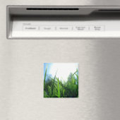 Gras & blauwe lucht magneet (Insitu (Vaatwasser))