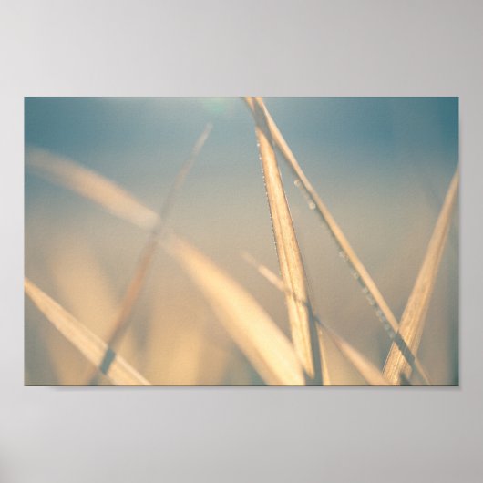 Gras Bloemen Natuur Foto Poster (Voorkant)