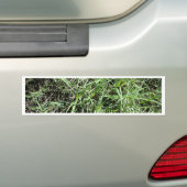 Gras Bumpersticker (Op auto)