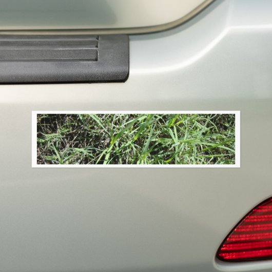 Gras Bumpersticker (Op auto)
