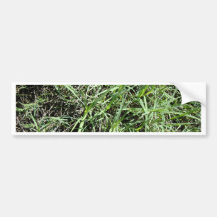 Gras Bumpersticker