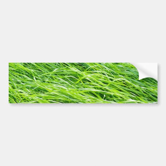 Gras Bumpersticker (Voorkant)