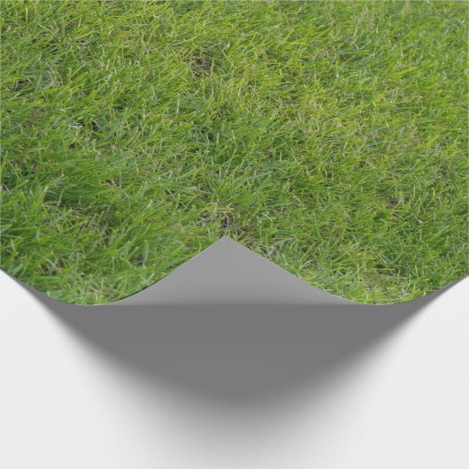 Gras, Cadeaupapier (Hoek)