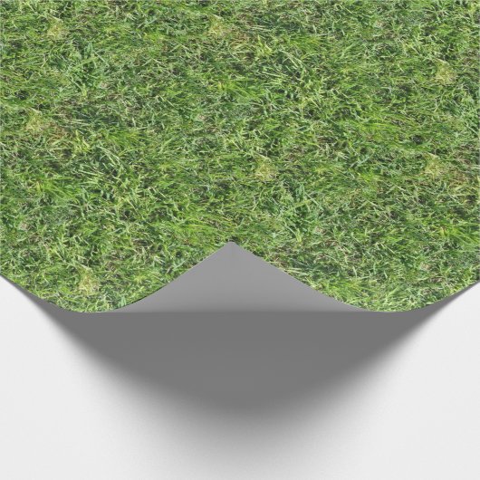 Gras Cadeaupapier (Hoek)