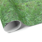 Gras Cadeaupapier (Rol Hoek)