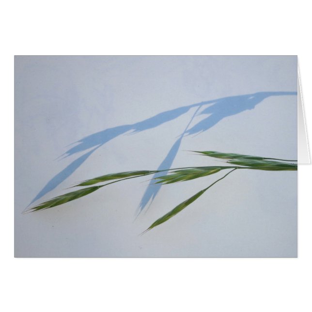 Gras en Schaduw (Voorkant Horizontaal)