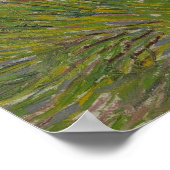 Gras en Vlinders door Vincent van Gogh Poster (Hoek)