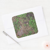 gras- en vuilpleister vierkante sticker (Envelop)