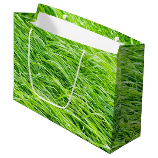 Gras Groot Cadeauzakje (Voorkant Gekanteld)