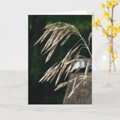 Gras is naar zaad gegaan kaart (Gele Bloem)